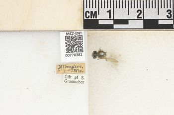 Media type: image;   Entomology 770381 Aspect: Labels